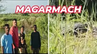 RAICHUR KE EKLASPUR ME MAGARMACH ( CROCODILE )