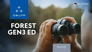 Nuevos Delta Forest ED Gen 3 | M&aacute;s ligeros, n&iacute;tidos y resistentes