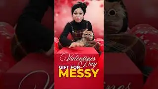 മെസ്സിക്കായി ഒരു വാലന്റൈൻസ് സ്പെഷ്യൽ ഗിഫ്റ്റ് 🎁🐱 #cat #trending #viral #shorts
