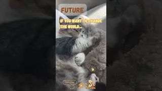 Future With cat video. #shorts #youtubeshorts  #cat #cats #貓 #facts #subscribe #future #video