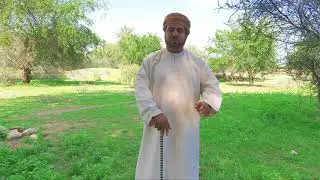 دور السيدة موزة بنت  الإمام أحمد، في تنصيب السيد سعيد بن سلطان حاكما يرويها لكم احمد بن سعيد البادي