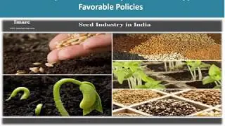 Indian Seed Industry | Share, Size, Price Trends And Forecast Research Report Till To 2022