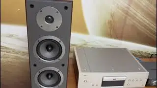 AURUM CANTUS 5508