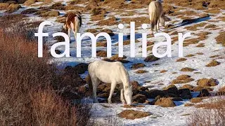 Привычный