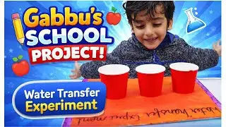 Gabbu ka School Project | Water Transfer Experiment | Cute Science Activity 💧📚