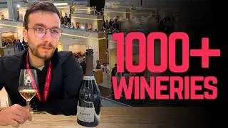 I Went To The World&rsquo;s Biggest Wine Event - ProWein