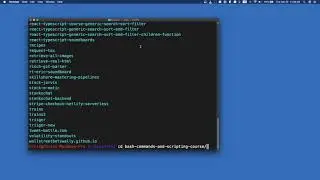 Bash From Beginner to Expert - Lesson 4 - pwd, ls, cd, open, clear, cat