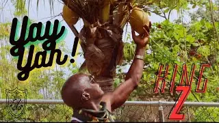 King Z - Yay Yah Music Video (official) #new #music #reggae #jamaica