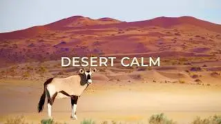 The Desert Silence | 4K Cinematic Desert Film for Deep Relaxation
