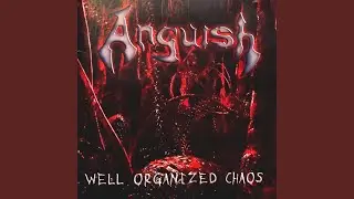 Misguided Visions