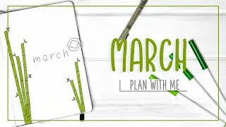 PLAN WITH ME || March 2020 Bullet Journal Setup