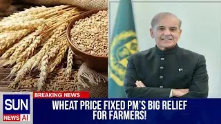Wheat Price Fixed &mdash; PM&rsquo;s Big Relief for Farmers! | The Sun International