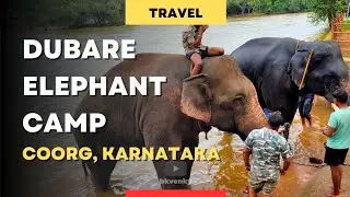 Dubare Elephant Camp Coorg | Elephant Rides & River Baths 2026