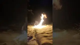 winter #fireshow #flamethrower #winter #snow #reels #music #огнемет #фаершоу #лес #fire #fireman