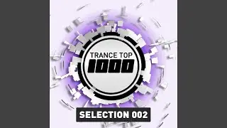 The Loves We Lost (Radio Edit)