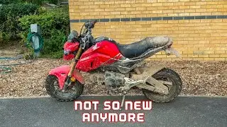 CLEANING MY GROM | 4K