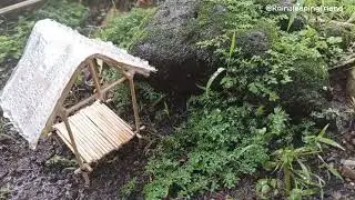 Deep Sleep Rain Sounds 🌙 | Peaceful ASMR Rain Ambience