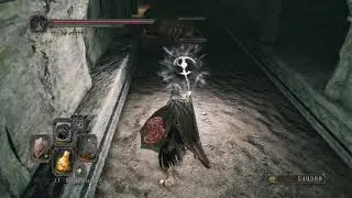 DS2 SOTFS: How to farm Rat Tail, Awestone and the Seed of a Tree of Giant.