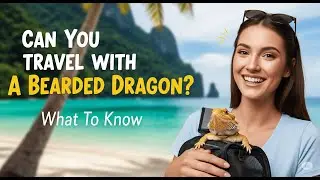 STOP! DON'T Travel With Your Bearded Dragon Before Watching This (Avoid These 3 CRITICAL Mistakes!)