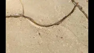 Popękany Strop  Rysy na stropie