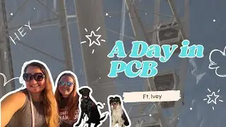 Pier Park with the Pups! Exploring Dog-Friendly Panama City Beach