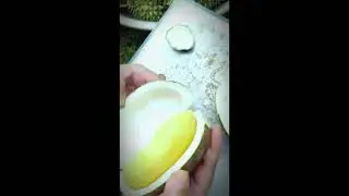 😲 Cutting a Strange Durian! What&rsquo;s Inside? 🥥🔪 #StrangeDurian #DurianCutting #Shorts