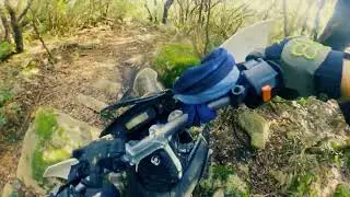 Husqvarna 701 Enduro trail ride and enduro