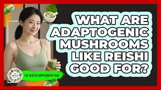 What Are Adaptogenic Mushrooms Like Reishi Good For? - The Health Supplement Hub
