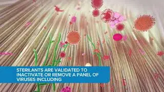 BioCleanse Tissue Sterilisation Process