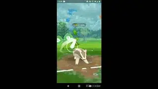 GBL Holiday Cup - Butterfree Froslass Linoone