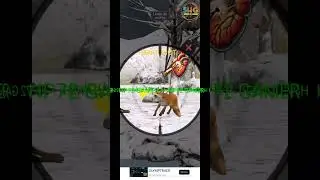 Animal Hunter Wild Shooting #shoot #shorts #games #short #video #3dgame &lrm;@HP72_GAMER&nbsp;#Animalhunter