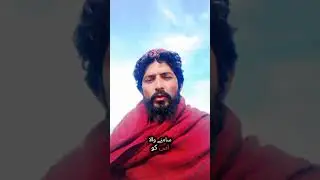 insaan kird@r k lihaz se...?