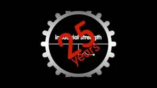 Demanufacturer - Peace Of Our Time - ISR25