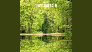 Quiet and Calm, Pt. 40