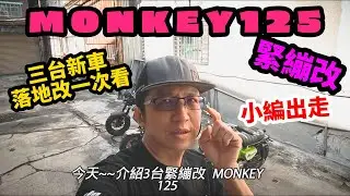 根本英俊 ｜緊繃改｜MONKEY125｜｜限量版｜新車落地改｜一次3台看夠｜軟蛋醬信義店