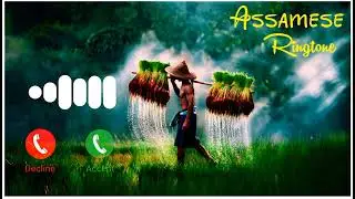 Best Assamese Ringtone | Viral Ringtone | Popular Ringtone Morom Dili Seneh Dili Ringtone