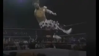 Randy Savage vs Andy Savage  -  Who has the better Flying Elbow?