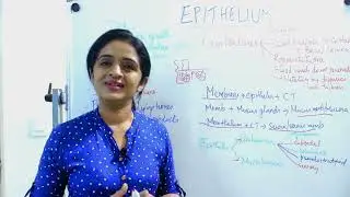 Histology series &hellip;Epithelium 1👩&zwj;🏫