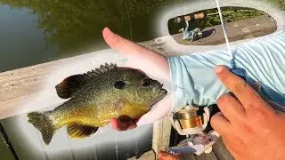 Ice Rod Fishing Challenge! 40 GILLS in 30 MINUTES (INTENSE)