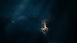 Reanimal (Demo) raw gameplay
