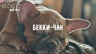 VLOG12. Май 2025.