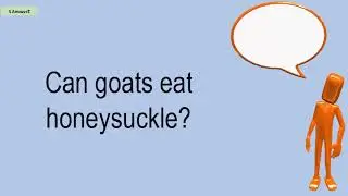 Can Goats Eat Honeysuckle?