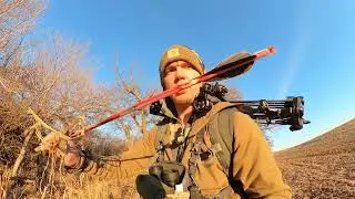 Oklahoma Archery Whitetail 