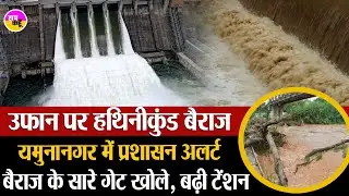 Yamuna River Flood Alert ! Hathnikund Barrage के सभी गेट खुले | Yamuna Nagar Flood | Haryana Flood