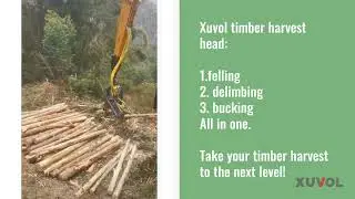 Xuvol timber harvester head : robust head ,felling, delimbing, bucking all in one