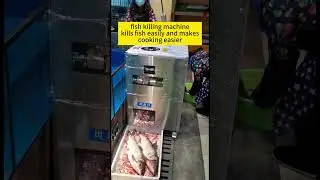 fish killing machine, kills fish easily and makes #fishcutting_skills #fish #fishprocessing