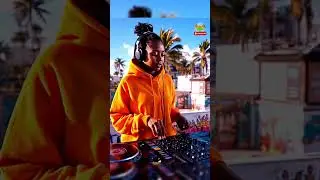 RIDDIM BABES | Episode 25 🔊 | Reggae Mix |