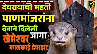 पाणमांजरांसाठी देवाने राखलेली जागा | Khemeshwar Kalkai Devrai - dapoli | MahaMTB
