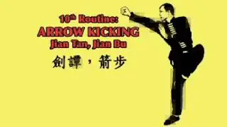 Tan Tui - 10th Routine