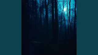 Pinesong Reverie